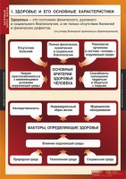 Комплект таблиц. ОБЖ. Здоровый образ жизни. - fgospostavki.ru - Щёлково