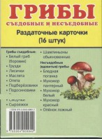 Раздаточные карточки "Грибы съедобные и не съедобные" - fgospostavki.ru - Щёлково