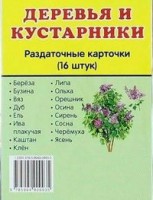 Раздаточные карточки "Деревья и кустарники" - fgospostavki.ru - Щёлково
