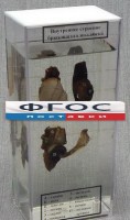 Влажный препарат "Внутреннее строение брюхоногого моллюска" - fgospostavki.ru - Щёлково
