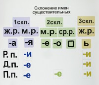 Набор магнитных карточек "Склонение имен существительных" - fgospostavki.ru - Щёлково