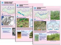Комплект таблиц по географии "Природные зоны России" раздаточные (цветные, ламинированные, А4, 10 штук) - fgospostavki.ru - Щёлково