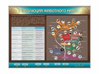 Интерактивный электрифицированный стенд "Эволюция животного мира" - fgospostavki.ru - Щёлково