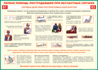 Таблица "Порядок действий при переломах конечностей" (100х140 сантиметров, винил) - fgospostavki.ru - Щёлково