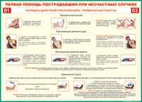 Таблица "Порядок действий при ранениях и термических ожогах" (100х140 сантиметров, винил) - fgospostavki.ru - Щёлково