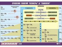 Таблица демонстрационная "Сравнение понятий изомер и гомолог" (винил 70x100) - fgospostavki.ru - Щёлково