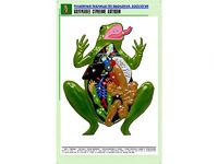 Рельефная таблица "Внутреннее строение лягушки" (формат А1, матовое ламинирование) - fgospostavki.ru - Щёлково