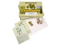 Гербарий "Для начальной школы" (30 видов, с иллюстрациями) - fgospostavki.ru - Щёлково