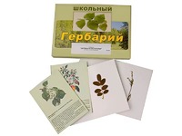 Гербарий "Деревья и кустарники" (22 вида, с иллюстрациями) - fgospostavki.ru - Щёлково