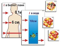 Модель-аппликация "Явление радиоактивности" (ламинированная) - fgospostavki.ru - Щёлково