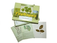 Гербарий "Дикорастущие растения" (30 видов, с иллюстрациями) - fgospostavki.ru - Щёлково