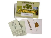 Гербарий "Лекарственные растения" (22 вида с иллюстрациями) - fgospostavki.ru - Щёлково
