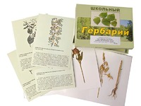 Гербарий "Систематика растений. Семейство Бобовые. Злаки" (раздаточный) - fgospostavki.ru - Щёлково