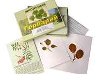 Гербарий "Систематика растений. Семейство Розоцветные" (раздаточный) - fgospostavki.ru - Щёлково