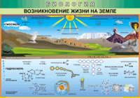 Таблица "Возникновение жизни на земле" (100х140 сантиметров, винил) - fgospostavki.ru - Щёлково