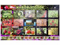 Комплект оборудования "Живой уголок" (растения) с тифлопереводом и сурдокомментариями - fgospostavki.ru - Щёлково