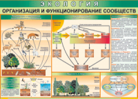 Таблица "Организация и функционирование сообществ" (100х140 сантиметров, винил) - fgospostavki.ru - Щёлково