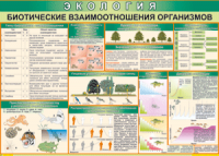 Таблица "Биотические взаимоотношения организмов" (100х140 сантиметров, винил) - fgospostavki.ru - Щёлково