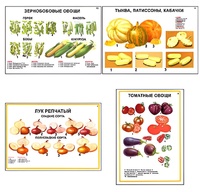 Плакаты ПРОФТЕХ "Ассортимент овощных культур" (12 пл, винил, 70х100) - fgospostavki.ru - Щёлково