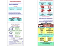 Плакаты ПРОФТЕХ "Классификации и виды мяса" (4 пл, винил, 70х100) - fgospostavki.ru - Щёлково