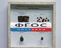 Коллекция энтомологическая "Примеры защитных приспособлений у насекомых" - fgospostavki.ru - Щёлково