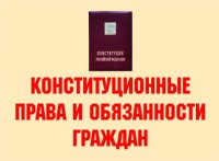 Комплект плакатов "Конституционные права и обязанности граждан" - fgospostavki.ru - Щёлково