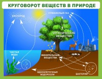 Стенд "Круговорот веществ" - fgospostavki.ru - Щёлково