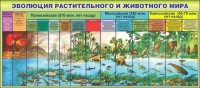 Стенд "Эволюция растительного и животного мира" - fgospostavki.ru - Щёлково