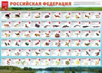 Стенд "Красная книга РФ" - fgospostavki.ru - Щёлково