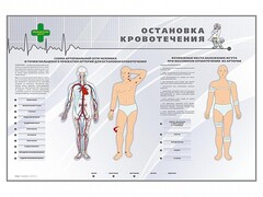 Электрифицированный стенд "Остановка кровотечения" - fgospostavki.ru - Щёлково