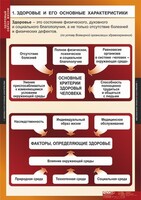 Комплект таблиц. ОБЖ. Здоровый образ жизни. - fgospostavki.ru - Щёлково