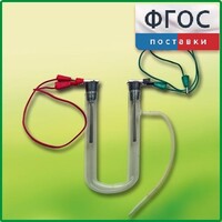 Прибор для электролиза растворов солей демонстрационный - fgospostavki.ru - Щёлково