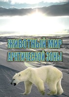 DVD "Животный мир Арктической зоны" - fgospostavki.ru - Щёлково
