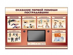 Многофункциональный интерактивный стенд-тренажер "Оказание первой помощи пострадавшим" для учащихся общеобразовательных учреждений - fgospostavki.ru - Щёлково