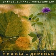 Растения средней полосы России "Травы и Деревья". (Цифровые атласы-определители) - fgospostavki.ru - Щёлково