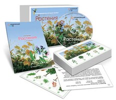 Комбинированное наглядное пособие «Растения» - fgospostavki.ru - Щёлково