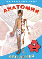 DVD "Анатомия для детей" - fgospostavki.ru - Щёлково