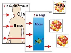 Модель-аппликация "Явление радиоактивности" (ламинированная) - fgospostavki.ru - Щёлково