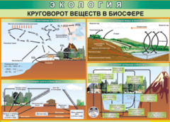 Таблица "Круговорот веществ в биосфере" (100х140 сантиметров, винил) - fgospostavki.ru - Щёлково