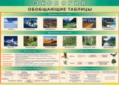 Таблица "Экология. Обобщающие таблицы" (100х140 сантиметров, винил) - fgospostavki.ru - Щёлково