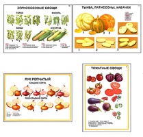 Плакаты ПРОФТЕХ "Ассортимент овощных культур" (12 пл, винил, 70х100) - fgospostavki.ru - Щёлково