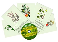 Интерактивный наглядный комплекс "Гербарий "Для начальной школы" - fgospostavki.ru - Щёлково