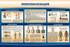 Стенд "Иммобилизация" - fgospostavki.ru - Щёлково