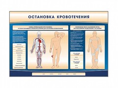 Электрифицированный стенд-тренажер "Остановка кровотечения" - fgospostavki.ru - Щёлково
