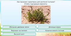 Интерактивные курсы. Окружающий мир 3 класс . Базовый. - fgospostavki.ru - Щёлково