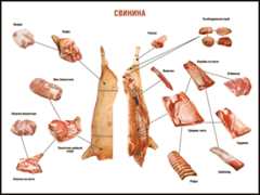 Таблица "Правила разделки мясных туш. Свинина" (100х140 сантиметров. винил) - fgospostavki.ru - Щёлково