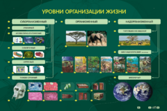 Электрифицированный стенд "Уровни организации жизни" - fgospostavki.ru - Щёлково