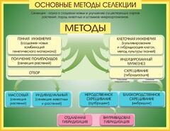 Стенд "Методы селекции и биотехнологии" - fgospostavki.ru - Щёлково