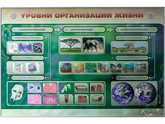 Электрифицированный стенд "Уровни организации жизни" - fgospostavki.ru - Щёлково