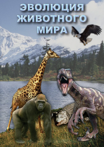 DVD "Эволюция животного мира" - fgospostavki.ru - Щёлково